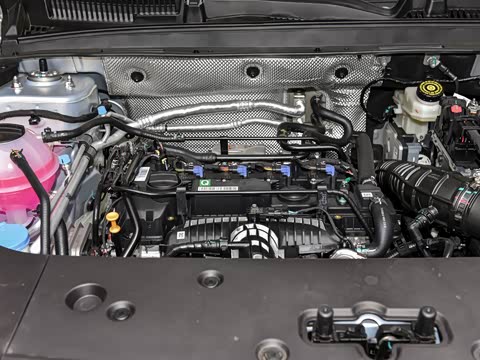 2025�� 1.6T �������ְ�