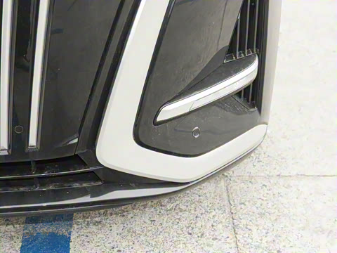 2025�� EV ��������