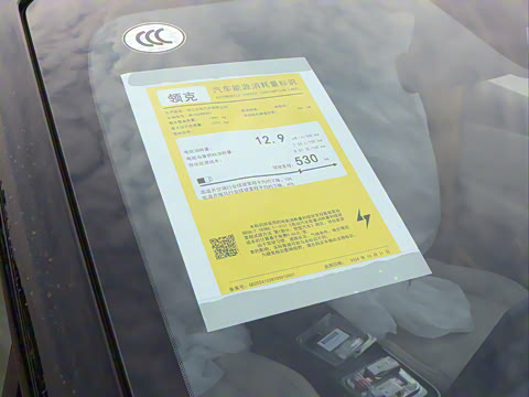 2025�� 530km ����Max