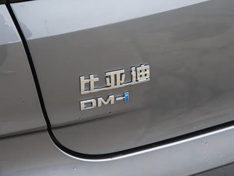 2025�� DM-i �Ǽݰ� 120KM׿Խ��