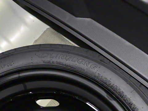 2025�� 300TSI DSG���������