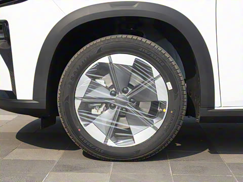 2024�� 450km ��ҫ��