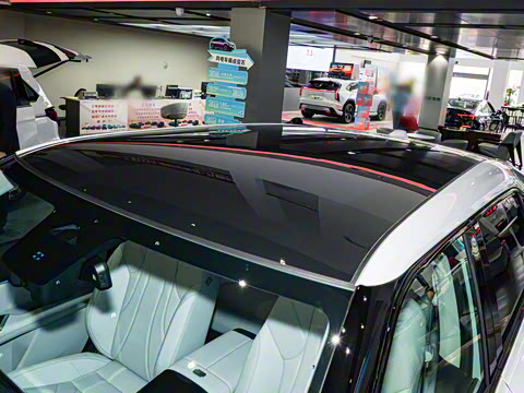 2025�� ����������Pro