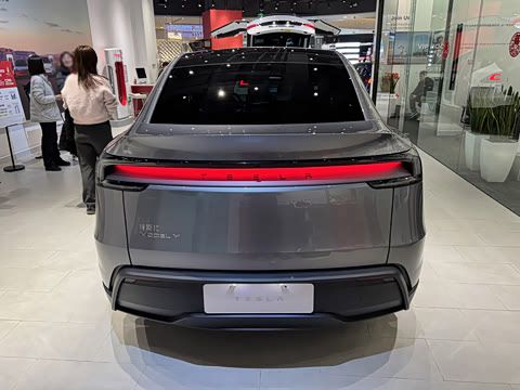 2025�� �������� �׷���