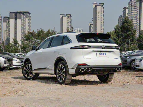 2025�� ���Ĵ� UItra 2.0T ������ �ǻ�������