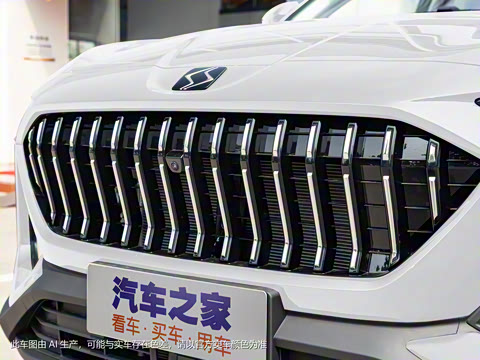 2021�� 300T DCT��������� 7��