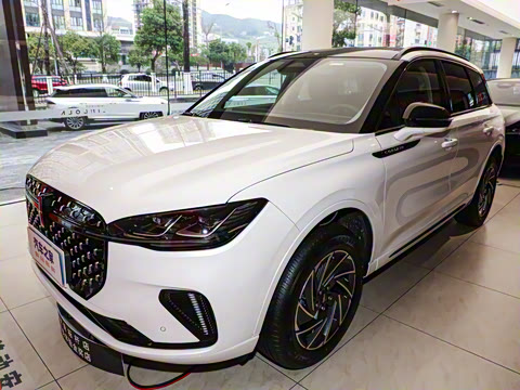 2024�� 1.5T ���������춯��