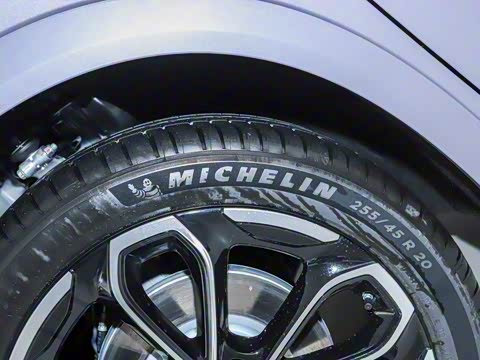 2025�� 625 ������ Max �콢��