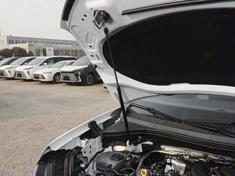 2025�� ������ 300TSI