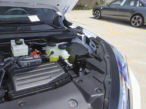 2025�� 205��������������