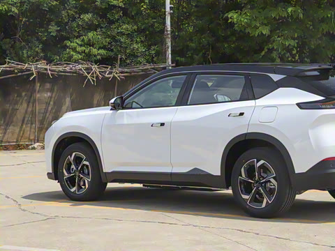 2025�� 205��������������