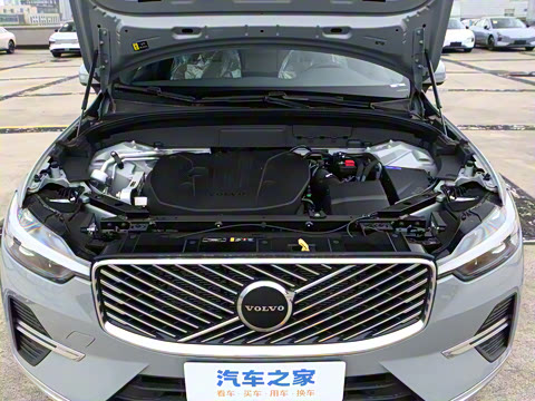 2026�� B5 �������ݺ�����