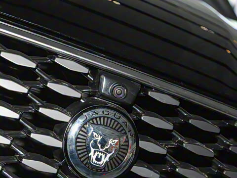 2025�� P250 R-Dynamic S