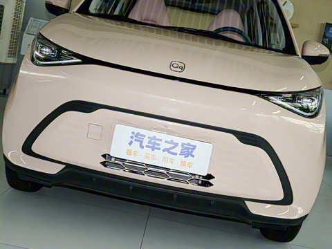 2025�� 305km ������