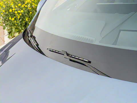 2025�� �Ǽݰ� DM-i 1.5T 125km �콢��