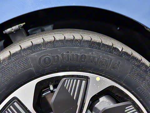 2025�� 550��ѡ��