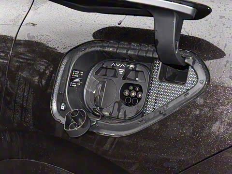 2024�� Max���������