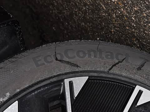 2024�� Max���������