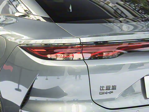 2025�� DM-p ���������״��콢��