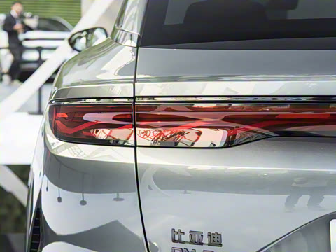 2025�� DM-p ���������״��콢��