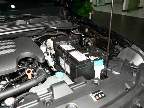 2025�� 2.0T�Զ�������Ӣ�� ����