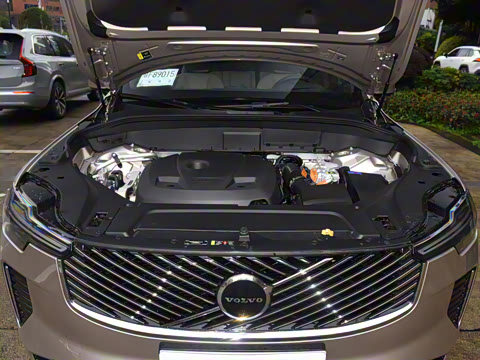 2025�� �Ŀ� T8 ��������� 7��