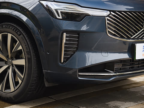 2025�� �Ŀ� T8 ��������� 7��