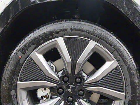 2025�� ����������Max