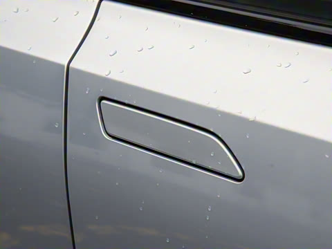 2025�� ����������Max