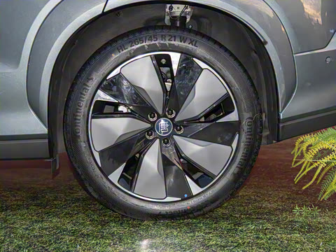 2025�� DM 175KM���˻���Ұ�