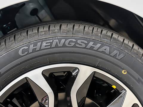 2025�� Plus 330KM������