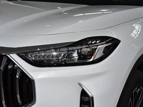 2025�� �ھ��� 1.5T �ֶ��ھ� 5��