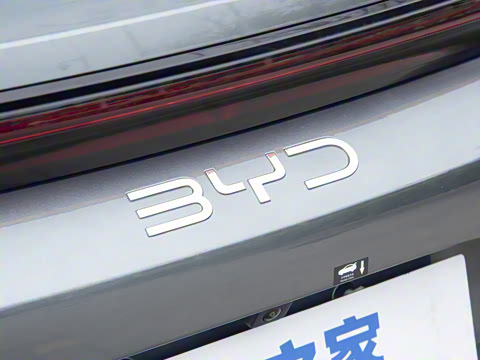 2025�� DM-p ���������״��콢��