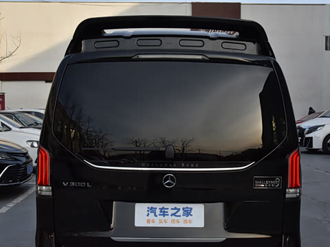 2025�� 2.0T V�������ֵ������