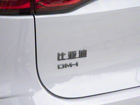 2025�� �Ǽݰ� DM-i 115KM �����