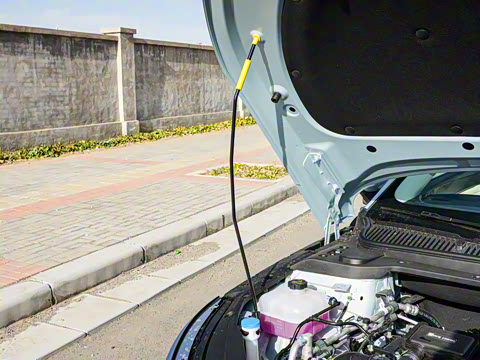 2025�� DM-i �Ǽݰ� 120KM��Խ��