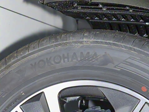 2025�� 300 ����������