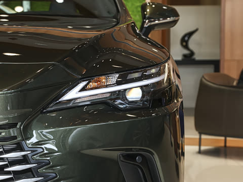 2025�� 300 ����������