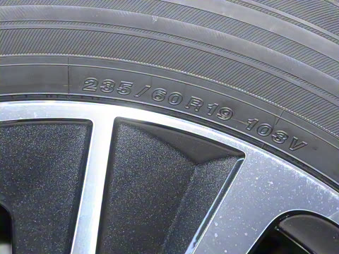 2025�� 300 ����������