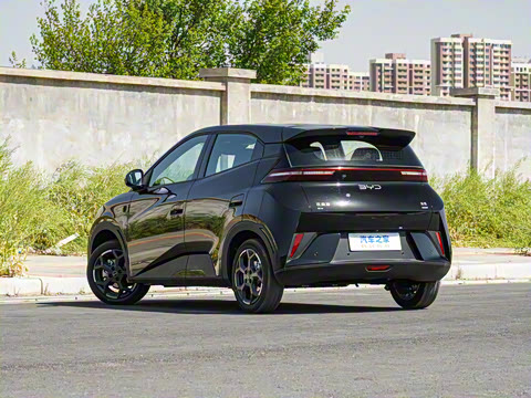 2025�� �Ǽݰ� 305km ���ɰ�