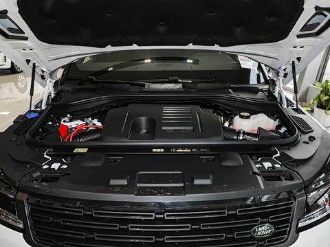 2025�� 400PS Dynamic SE