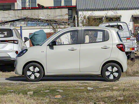 2025�� ���Ű� ���׿�