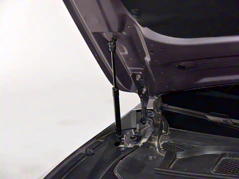 2025�� ���� Max ����������ʻ