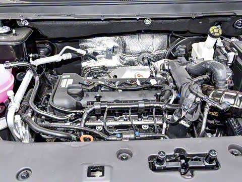 2024�� �ھ��� 1.5T �ֶ��ھ� 5��