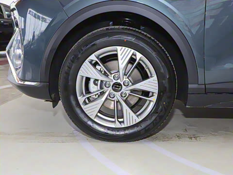 2025�� 565km ������