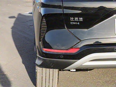 2025�� DM-i �Ǽݰ� 112KM ������