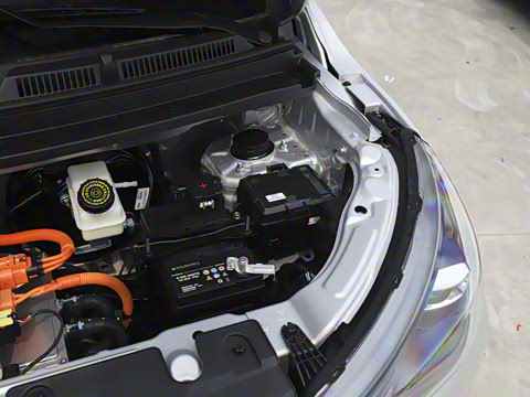 2025�� 305km ������