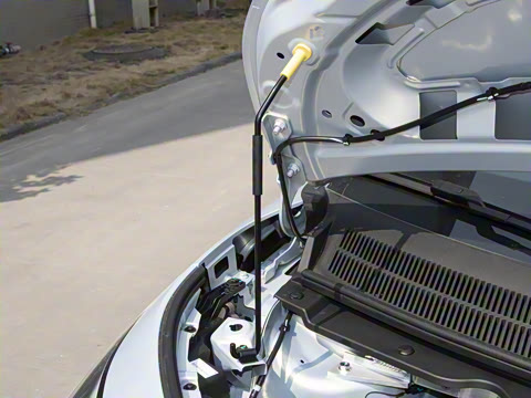 2025�� 420�Ǻ���