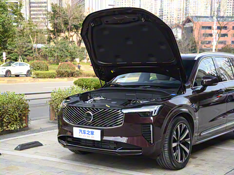 2025�� �Ŀ� T8 ��������� 7��