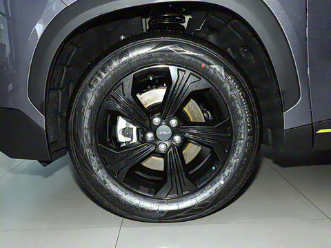 2025�� 1.5T DCT ��Խ��